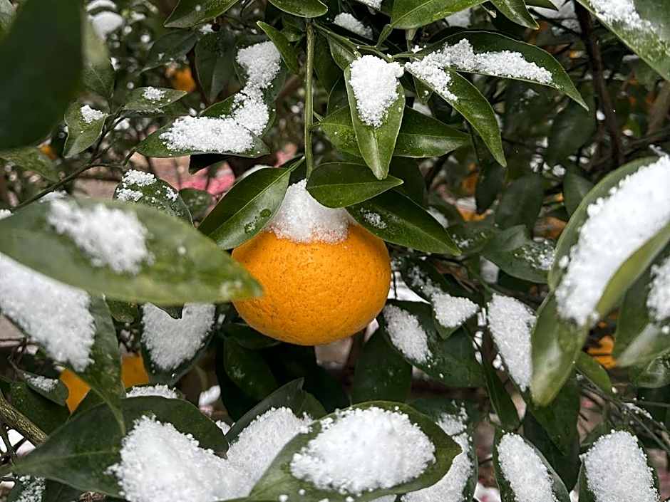 Slow Citi Guest House