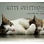 Kitty Guesthouse