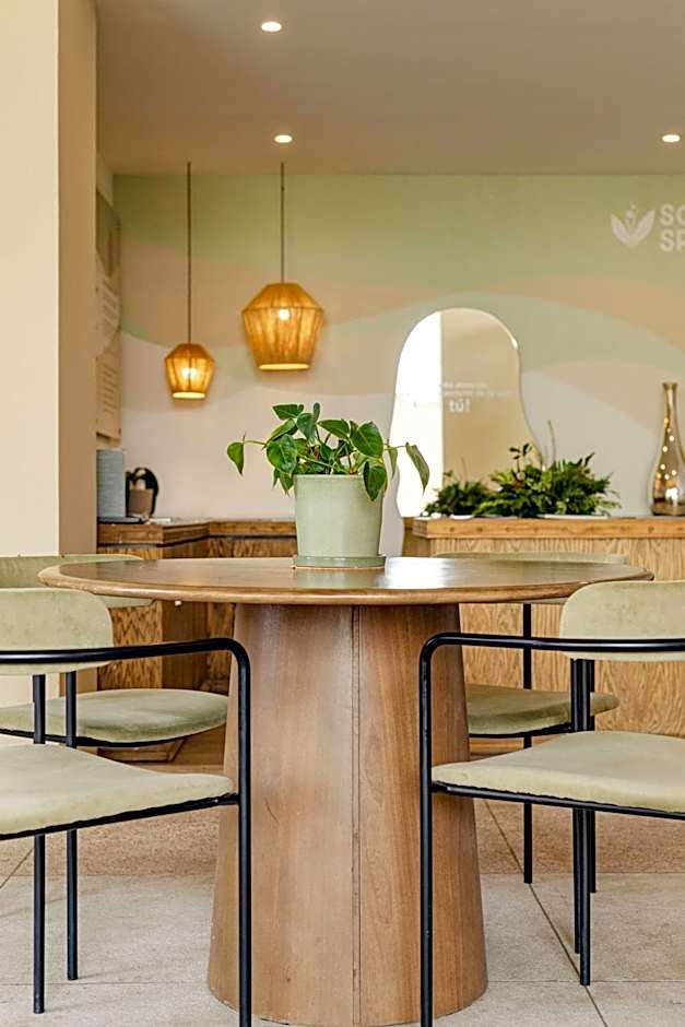 Soul Spring Sanctuary Cuernavaca