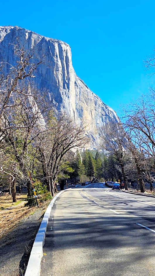 Yosemite Mountain Retreat