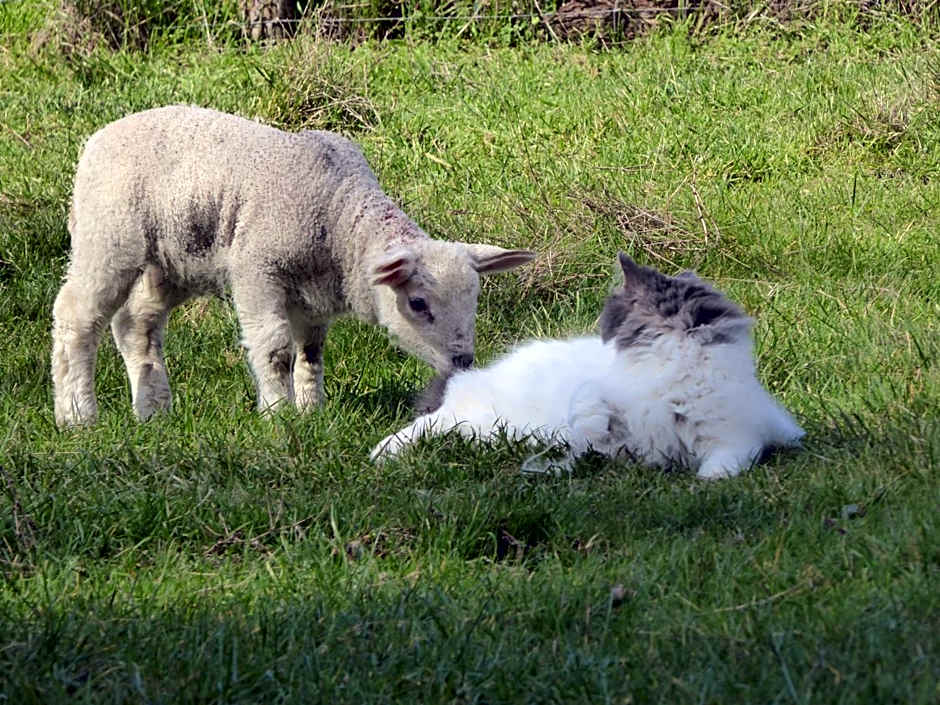 Chambres d'Hotes à La Chandelle