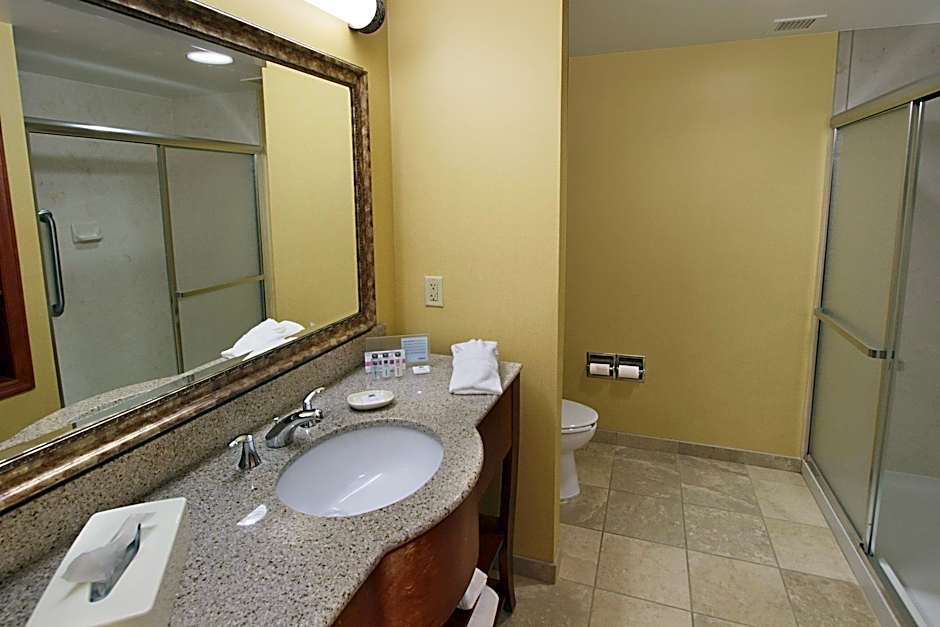 Hampton Inn Hagerstown-Maugansville