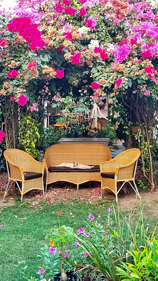 Pousada Solar Encanto do Marajó