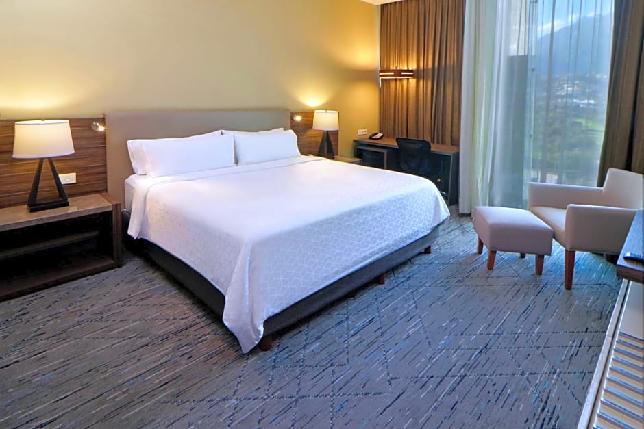 Holiday Inn Express & Suites Monterrey Valle By IHG