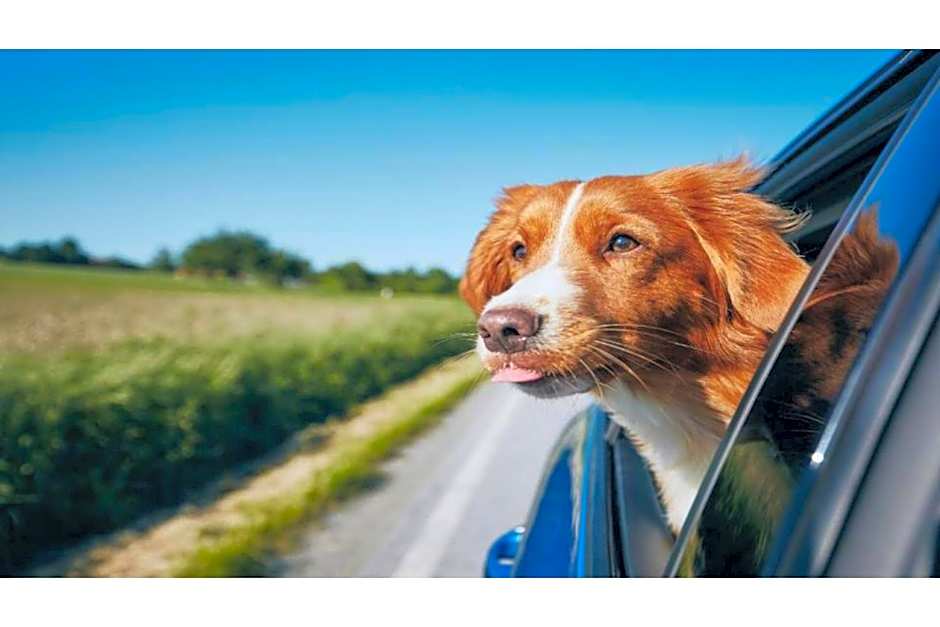 Studio 6 Suites Tucson, AZ Airport Kino Sports Complex