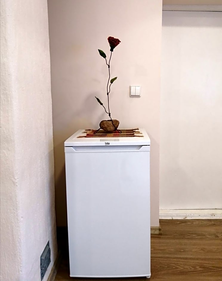 Poilsio kampelis Zarasuose