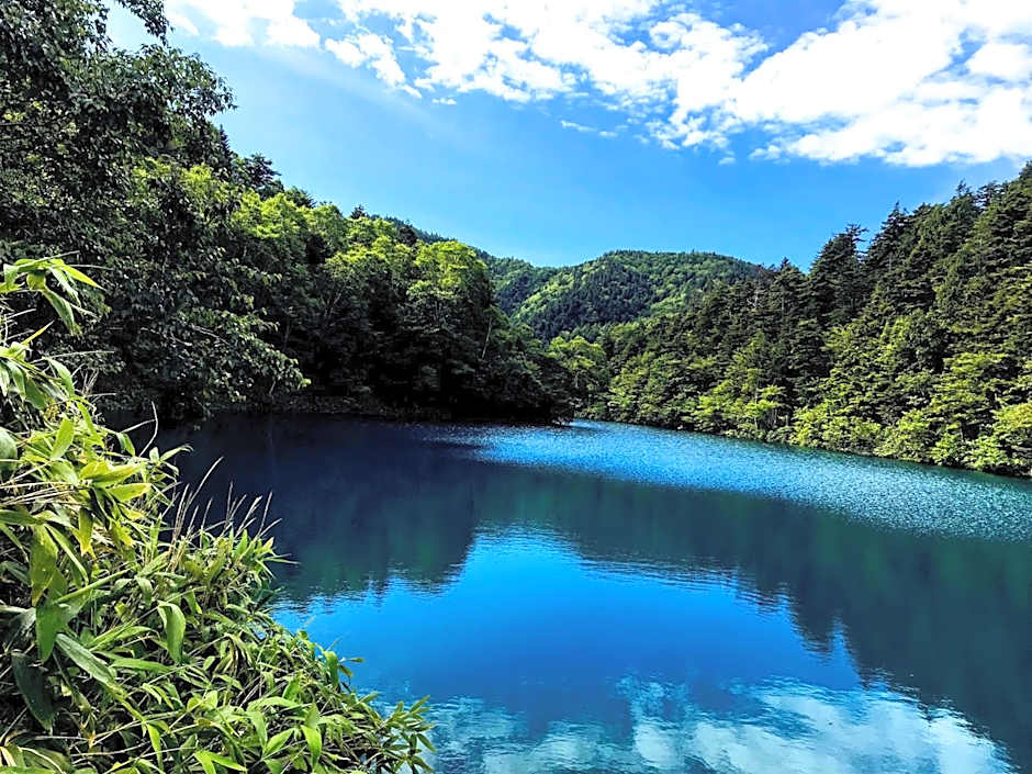 Hotel Tsubakino