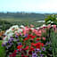 Bay Water Views Bed & Breakfast