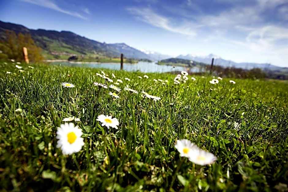 Romantik Hotel le Vignier