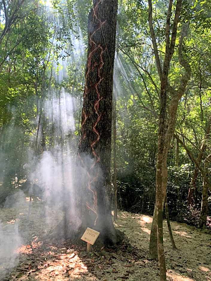Eco Aldea kinich Ahau en Calakmul