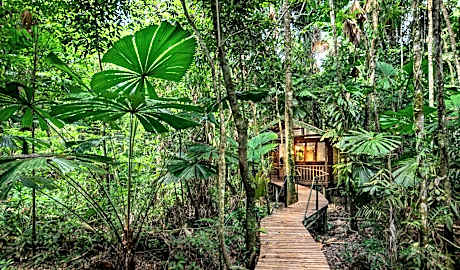 Daintree Wilderness Lodge