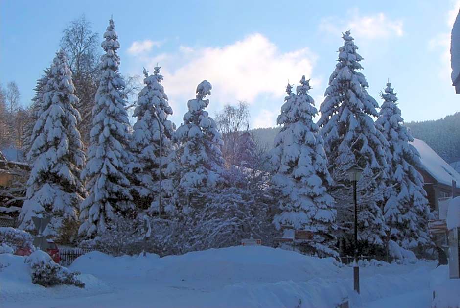 Hotel Pension am Kurmittelhaus