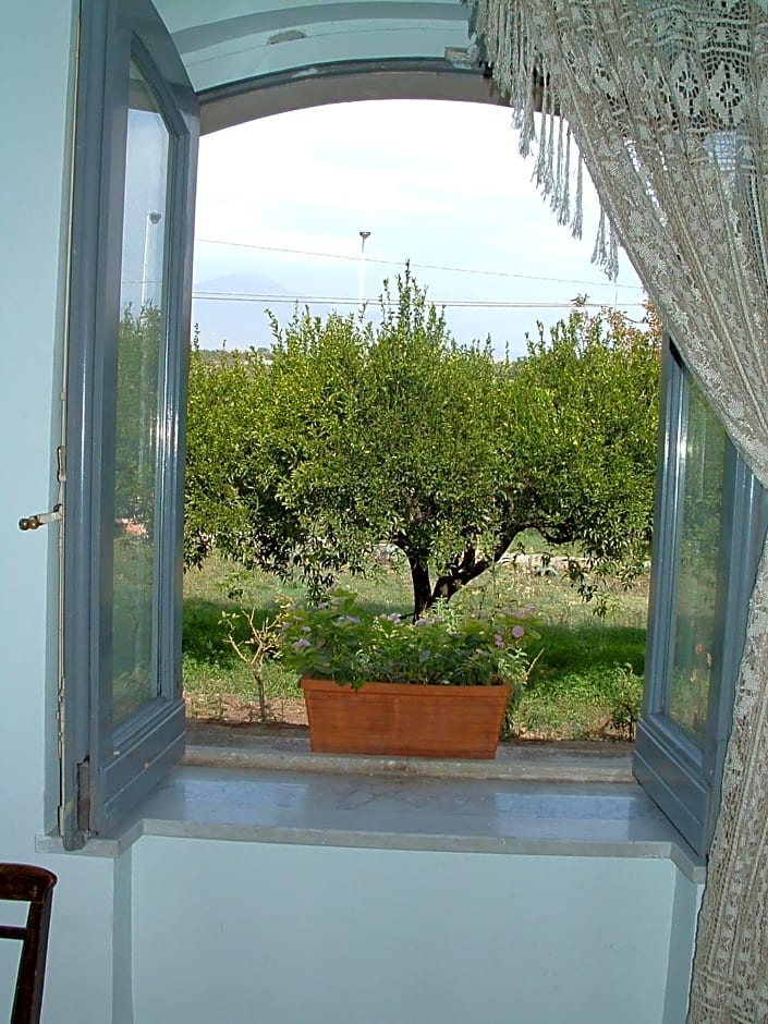 B&B Valle Allegra
