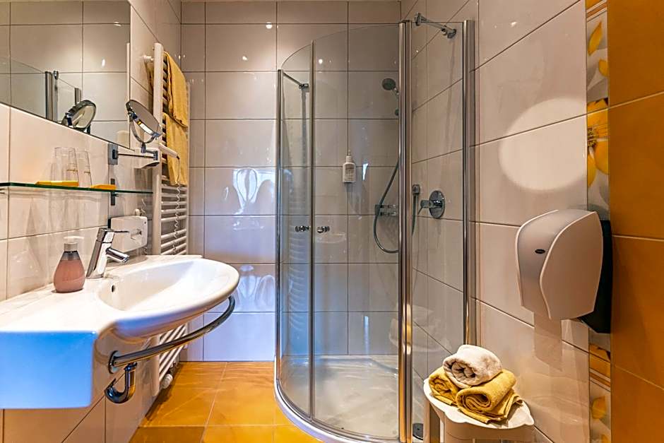 Hotel Der Schmittenhof