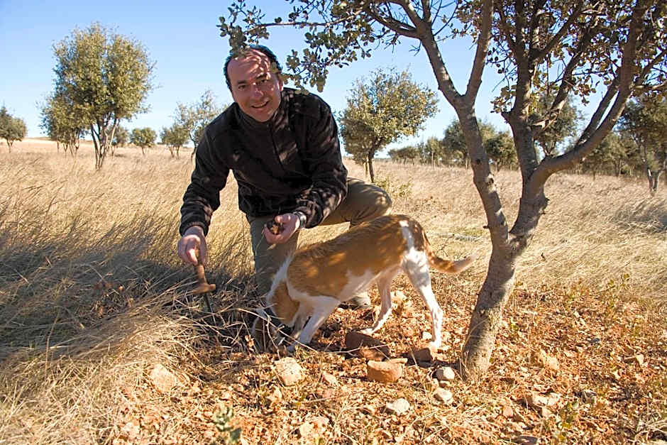 Hotel Los Leones - Adults Only