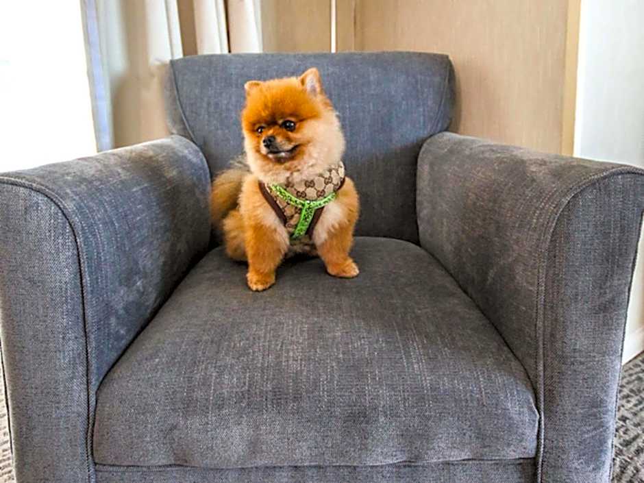 Novotel Puerto Montt