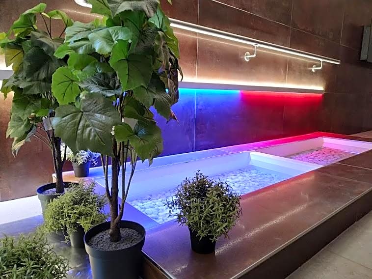 Anna SPA & Wellness Hotel Nejdek