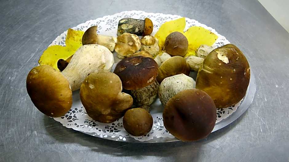 Logis Hôtel - Restaurant Aux Bruyères