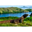 Meruorah Komodo Labuan Bajo