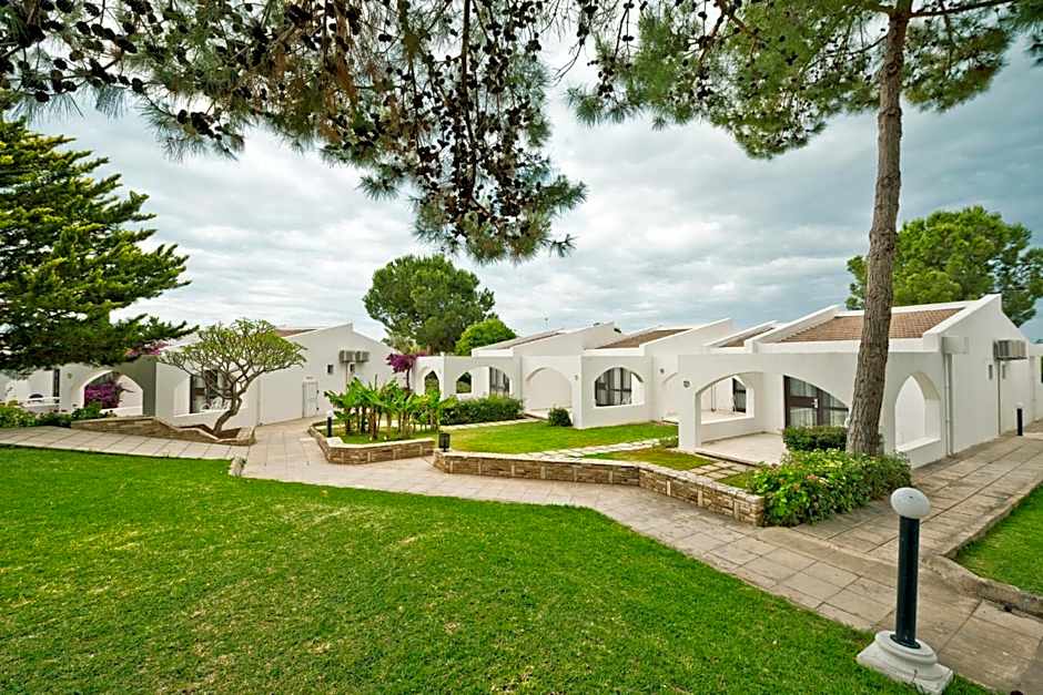 The Olive Tree Hotel