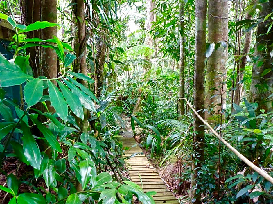 Kuranda Ngorongoro Lodge