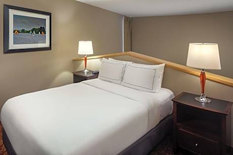 1 King Bed Bi-Level Loft Suite