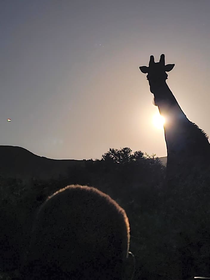 Garden Route Safari Camp