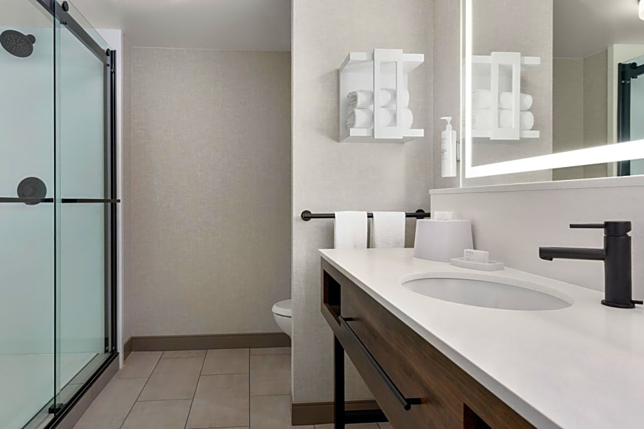 Hampton Inn & Suites Greenville-Downtown-Riverplace