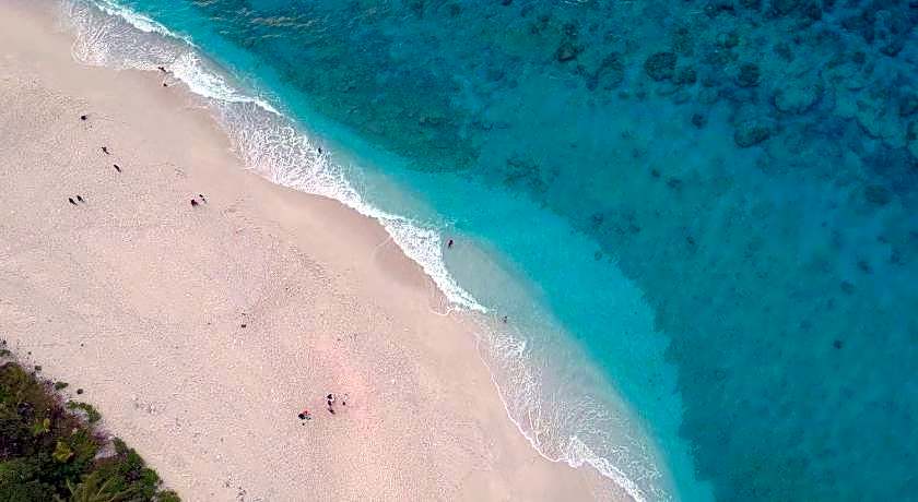 Tiger shark Residence 