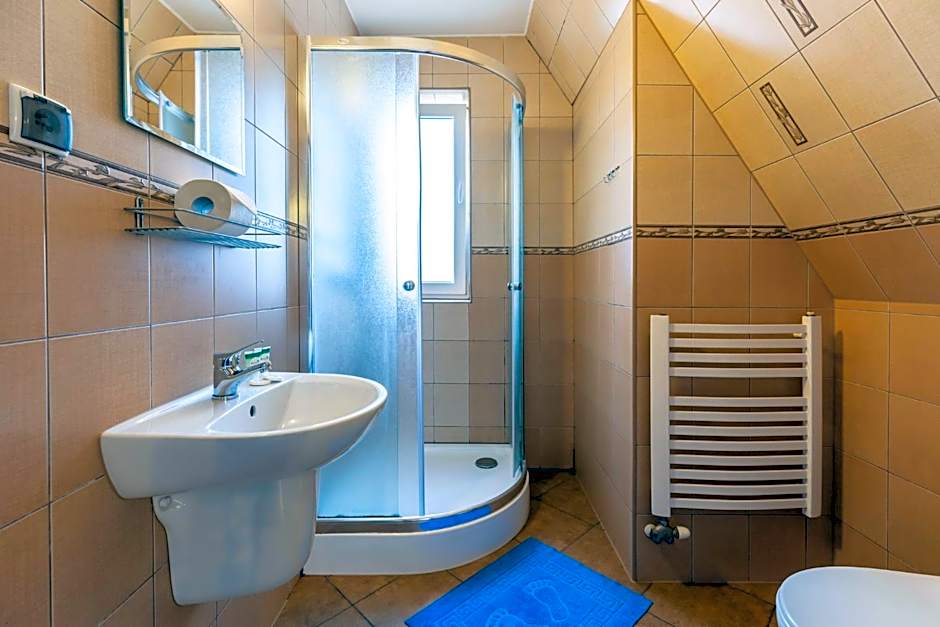 Brzoza w centrum Zakopanego