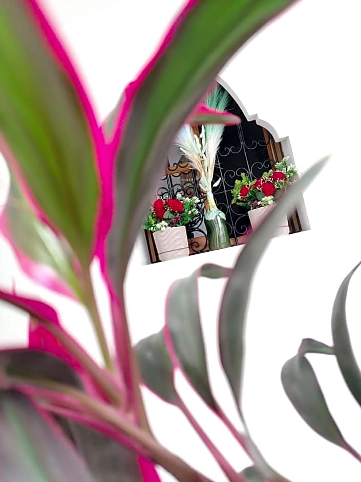 RIAD & SPA SOUS LE SOLEIL Chez Jerome et Pamela CH Zen