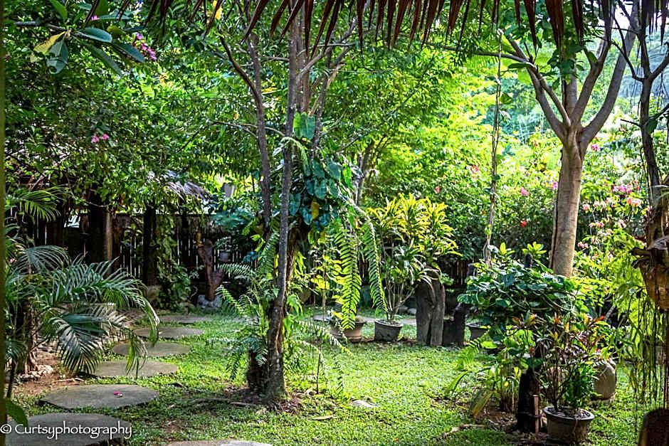 Green Travelodge Bukit Lawang