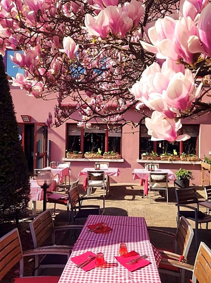 Hotel Restaurant Aux Sapins