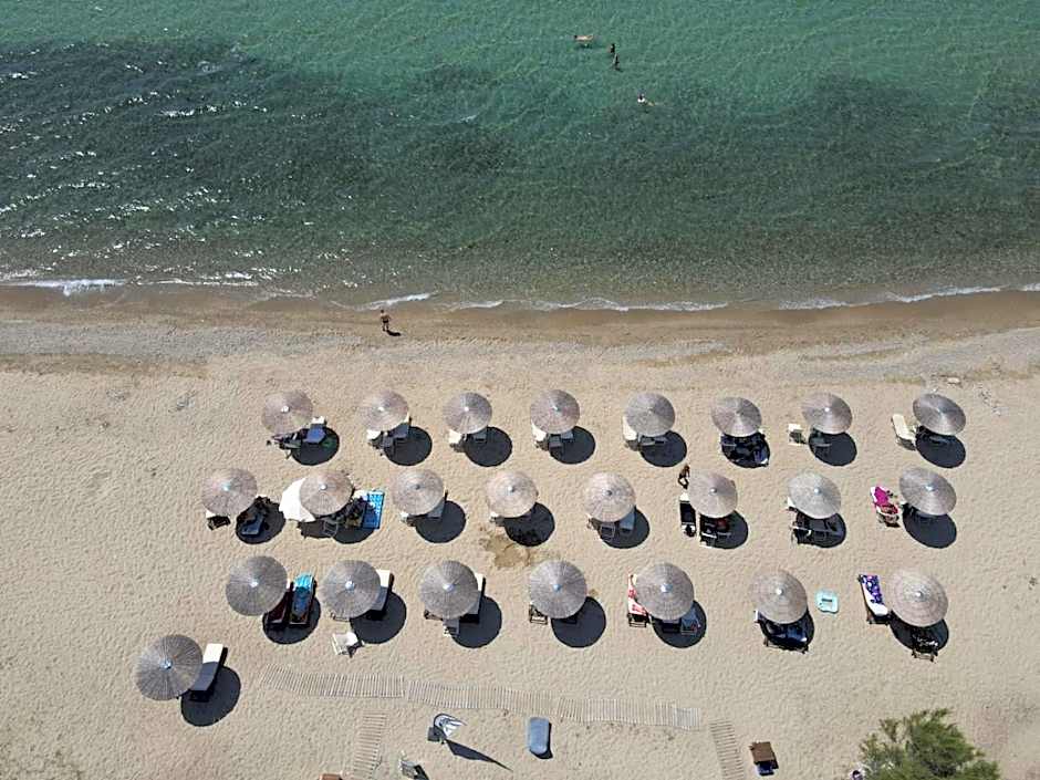 Sentimento Sea Breeze