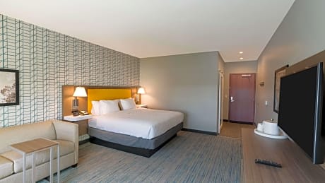 King Acc Room W/ Roll-In Shower Micro/Fridge