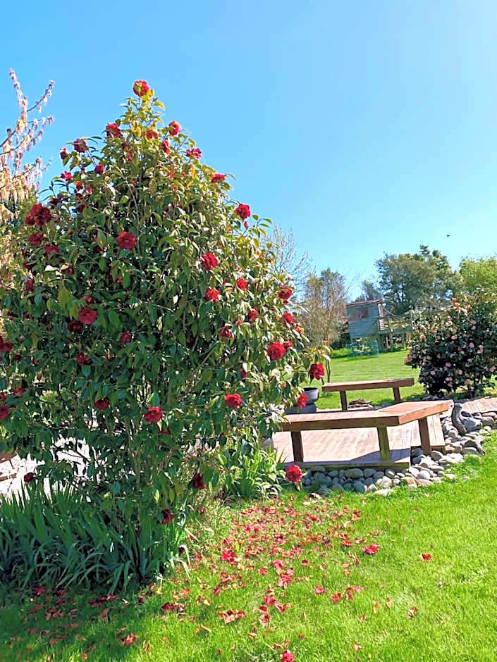 Newlands Bed and Breakfast