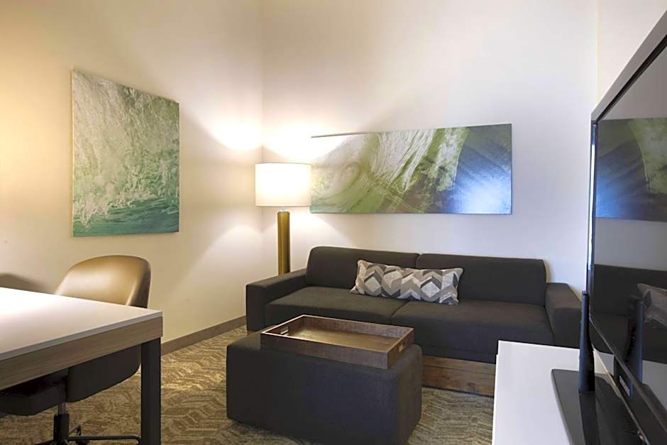 SpringHill Suites by Marriott Savannah I-95 South