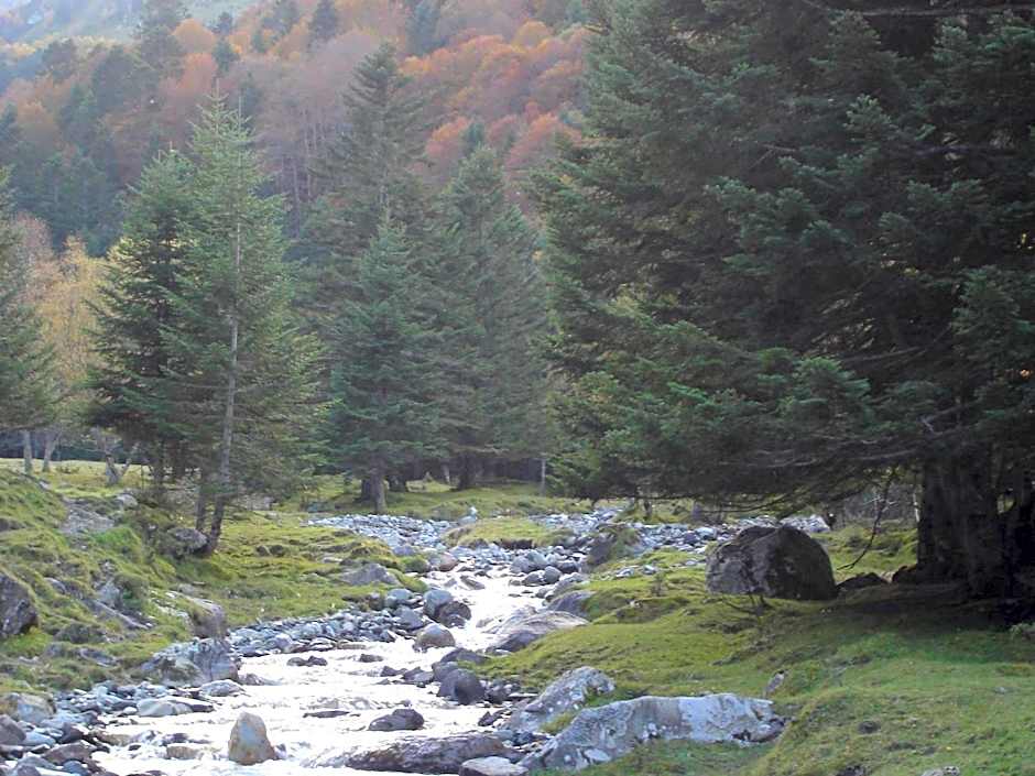 Gite Auberge Les Cascades