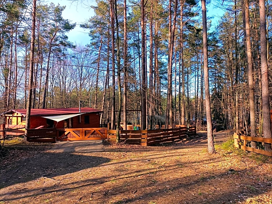 Domek nad jeziorem 7