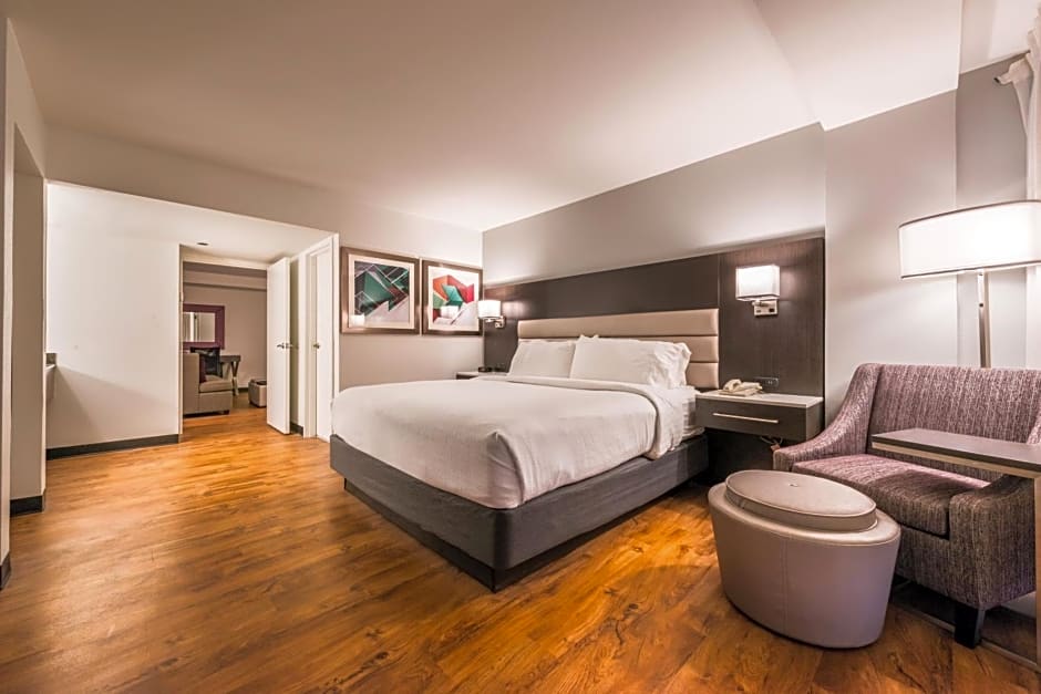 Holiday Inn Hotel and Suites Beaumont-Plaza I-10 & Walden, an IHG Hotel