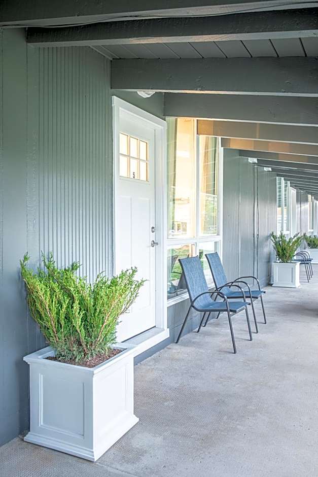 2BR Boutique Suite #8