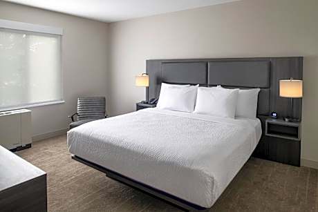One-Bedroom King Suite