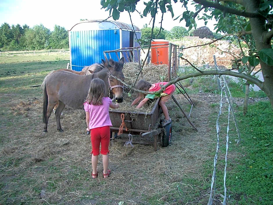 Ferienhof Meyer Landhotel