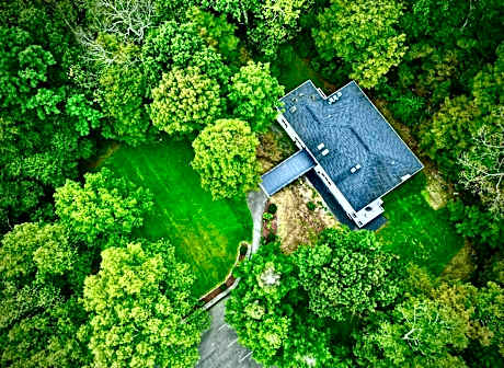 The Harlow House