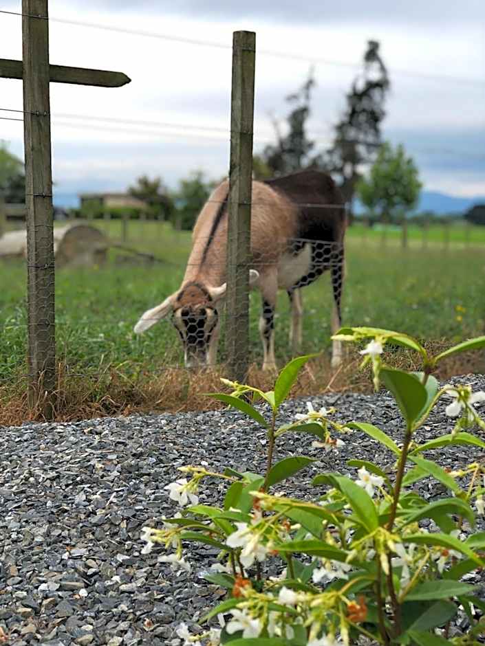 Cosy Country Stay B&B