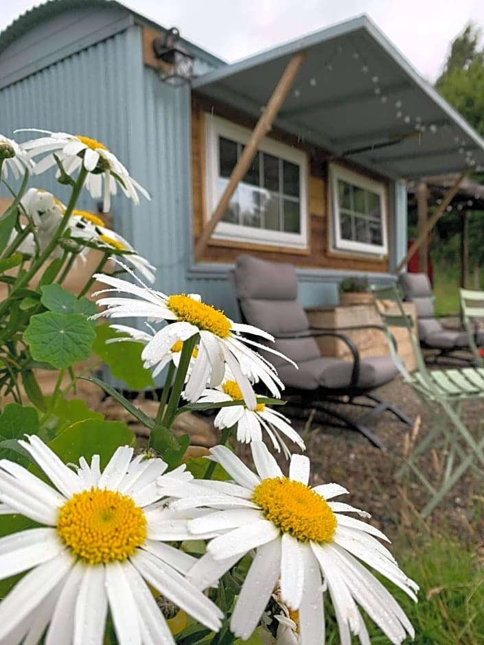 Belan Bluebell Woods Shepherds Hut