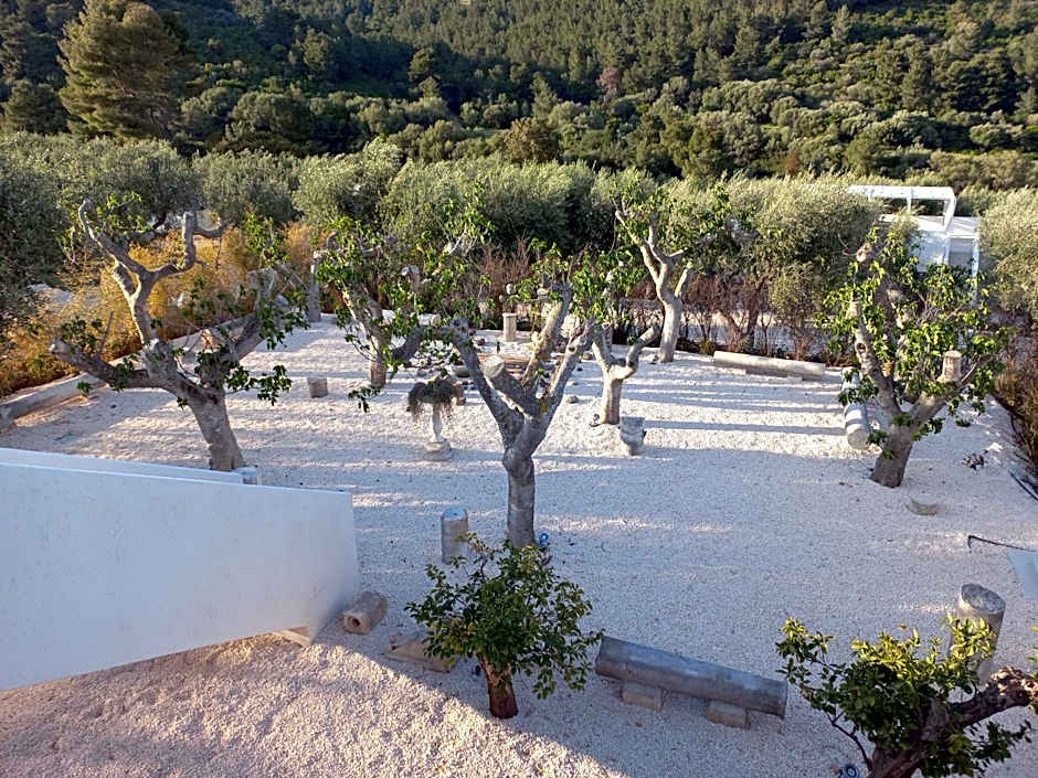 HMO Glamping & Suites in Vignanotica