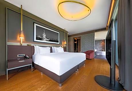 Suite - One Bedroom - City & Forest View