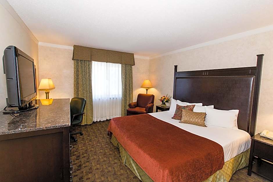 Photo 1 of 4 of 1 King Bed