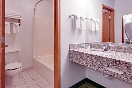 1 King Bed, Suite, Nonsmoking